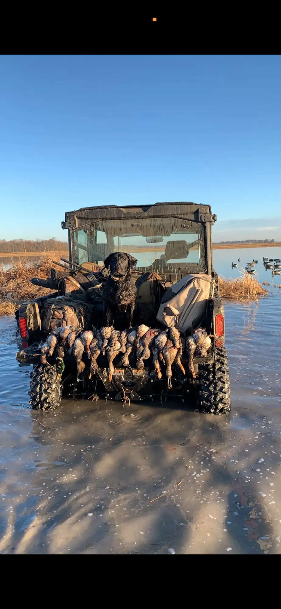 Dirty Duck Outfitters lodging on the Black River in Northeast Arkansas