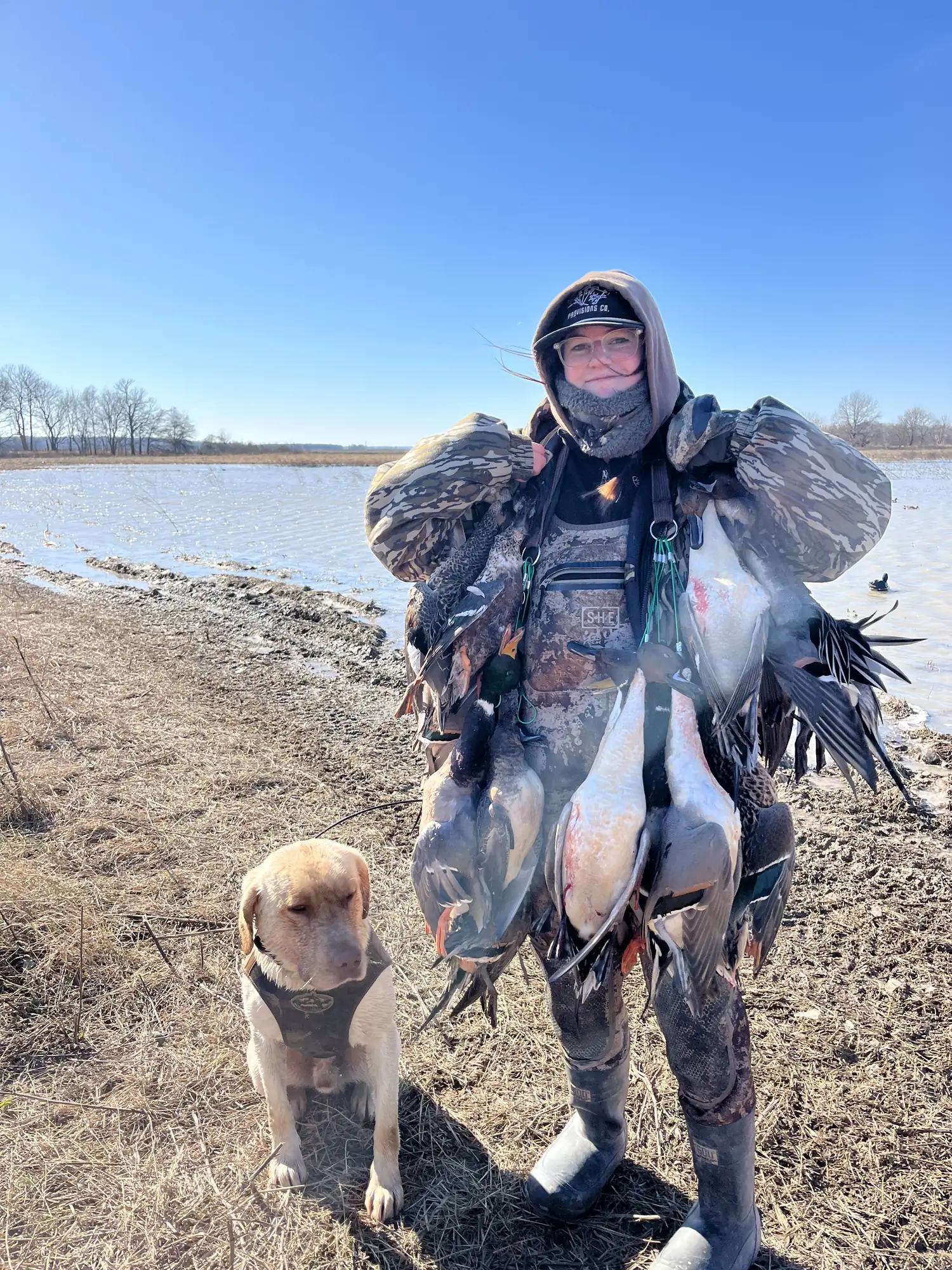 Hunter holding a heavy strap of ducks beside a yellow retriever