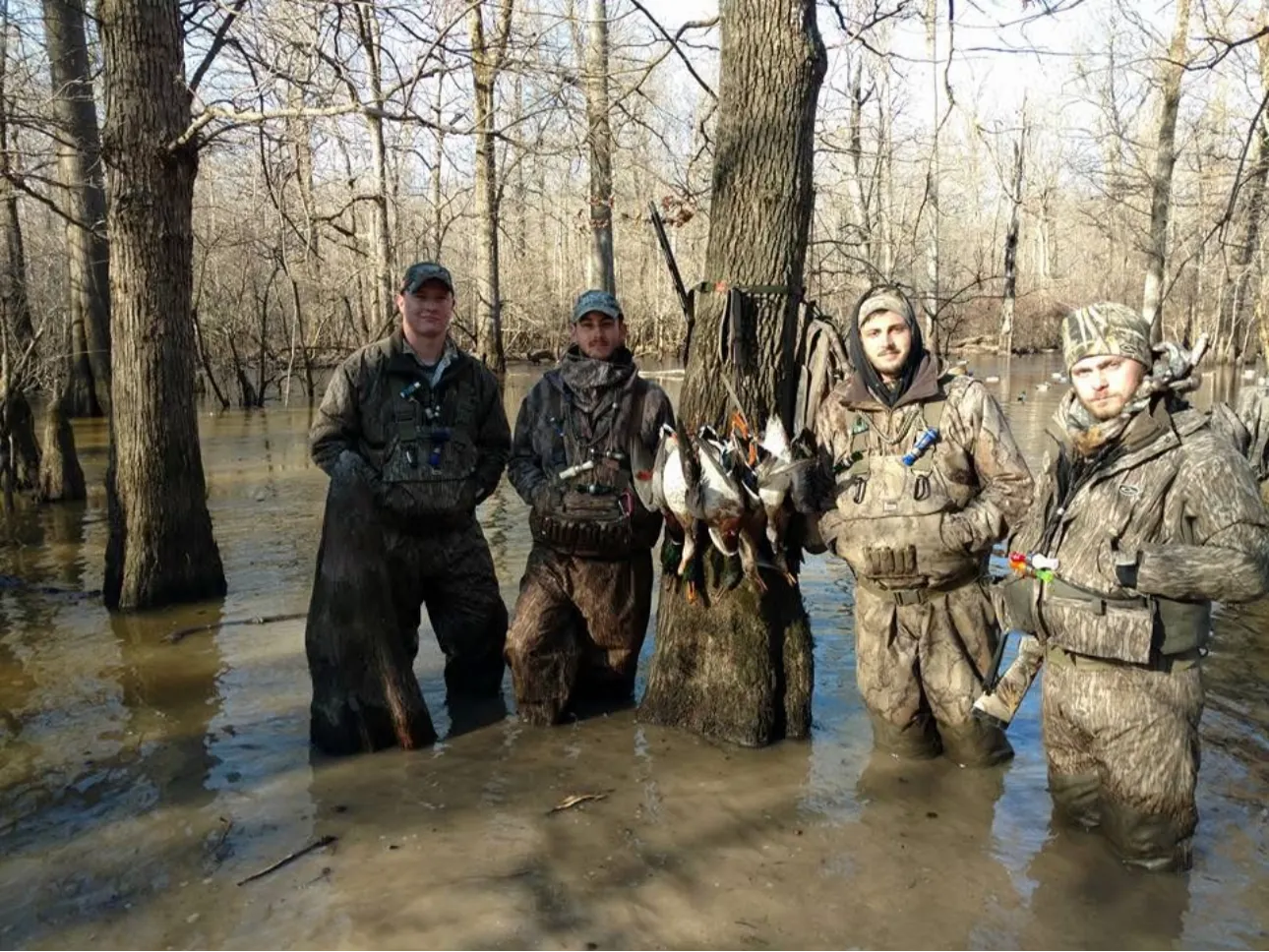 Four hunters standing waist-deep in flooded green timber with a strap of mallards